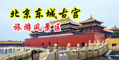大鸡巴操逼免费看中国北京-东城古宫旅游风景区